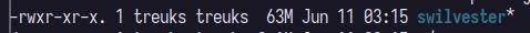 swilvester binary built with static linux sdk and stripped, 63 megabytes in size.