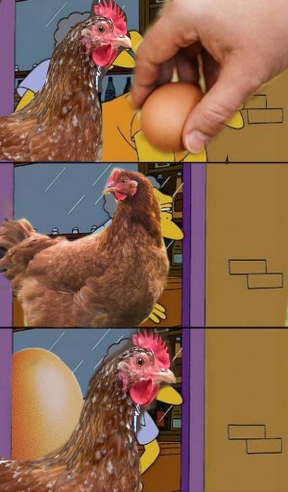 the moe throwing barney out of the bar meme but instead of moe it's a chicken and instead of barney it's an egg