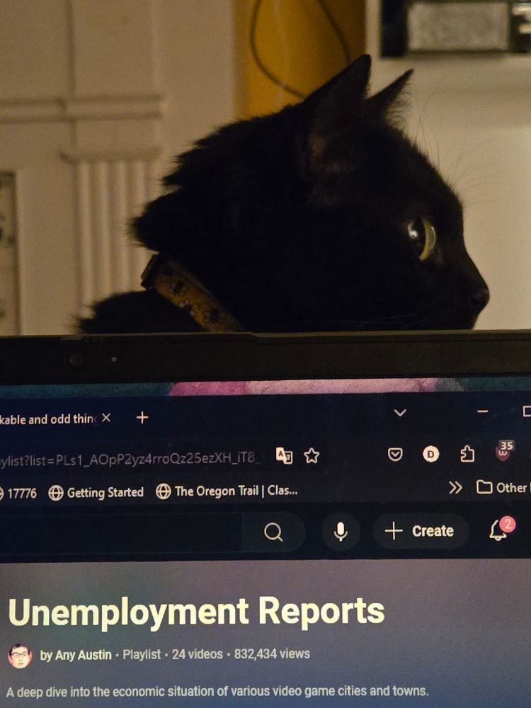 A black cat peering over a laptop screen. The laptop screen is on a page reading 'unemployment reports' by Any Austin