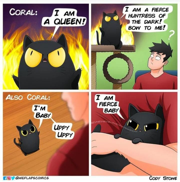Weflapscomics

A cat sayijg it is evil queen and then the ants fierce baby cuddles