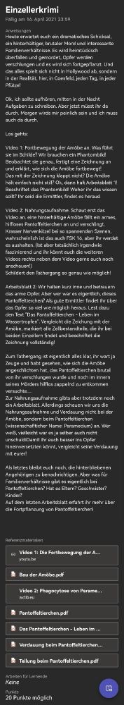 Aufgabenstellung aus einer Lernplattform