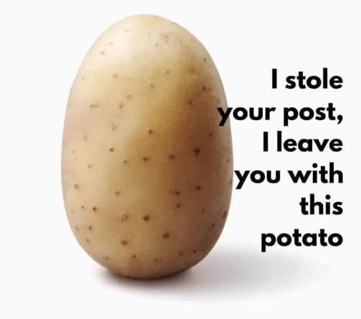 picture of a potato with text "I stole your post, I leave you with this potato"