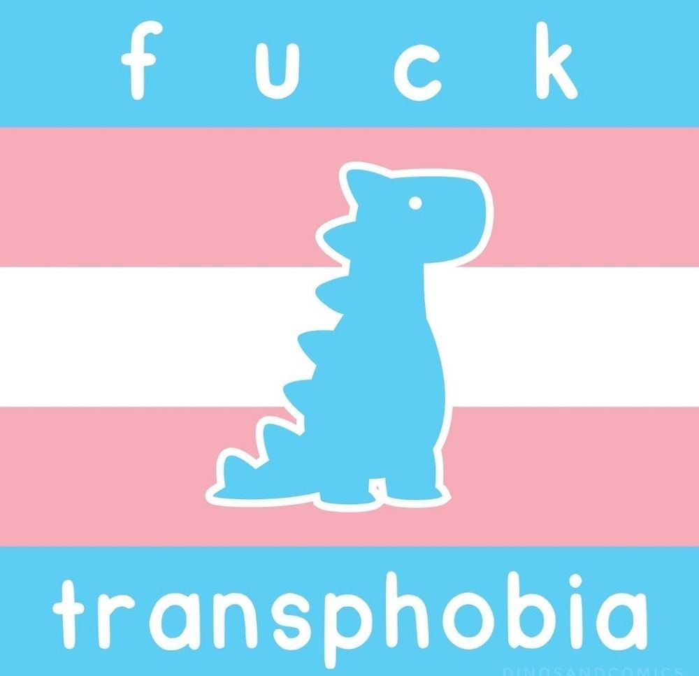 C'est un dessin de l'artiste dinosaur couch. C'est un drapeau transgenre carré sur lequel figure un petit dinosaure bleu. Il est écrit "fuck transphobia" en blanc. Pour celleux qui ne le savent pas, le drapeau transgenre est constitué de cinq bandes horizontales : bleu, rose, blanc, rose, bleu.