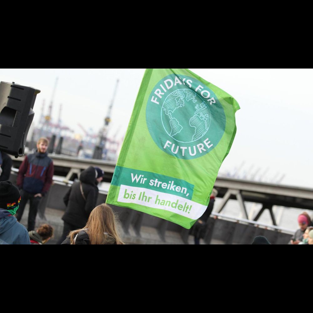 Antisemitismus bei „Fridays For Future“: Der Aktivist, der die Hassposts durchsetzte