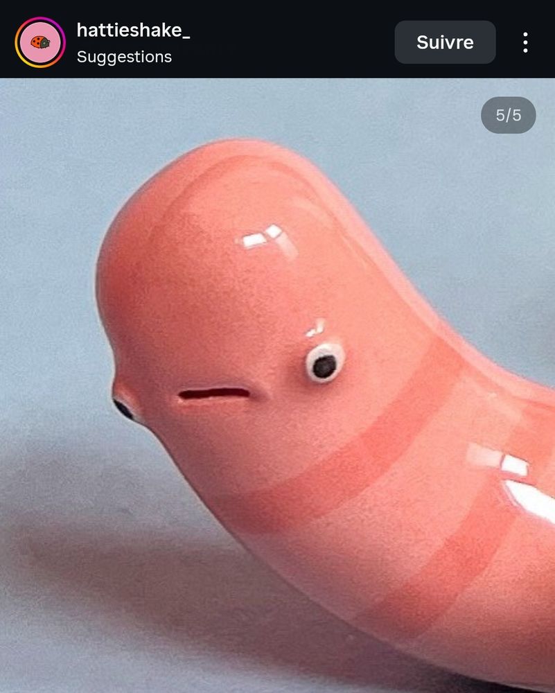 Gros plan sur la tête d'un des vers de terre, il ragequit la life