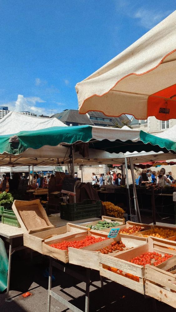 Photo d'étals de marché sous des parasols colorés, il y a des tomates et le ciel bleu.