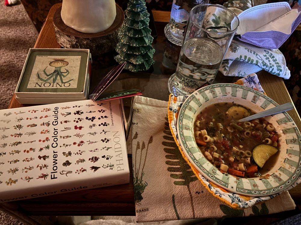 coffee table with:
coaster that says "ONION" but it's upside down so it says "NOINO" with a picture of an onion
Book: "Flower color guide" 
little christmas tree decoration
bowl of SOUP (zucchini, pasta, carrrots, looks yummy)
cup of water 
face mask on table