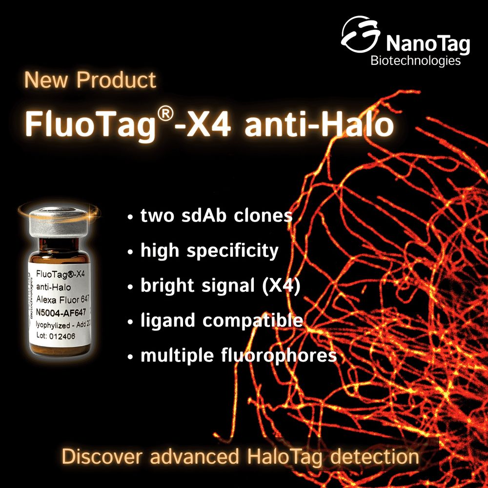 FluoTag®-X4 anti-Halo (N5004) sdAb-based reagent for HaloTag detection via direct IF_NanoTag Biotechnologies
