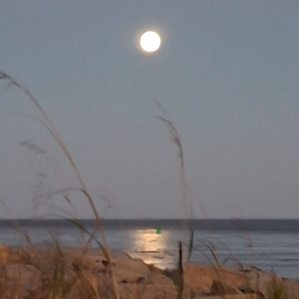 2025-10-6 Harvest Supermoon rises. Scusset Beach/Cape Cod Canal
*amatuer pic by MusicHeals@bsky.social