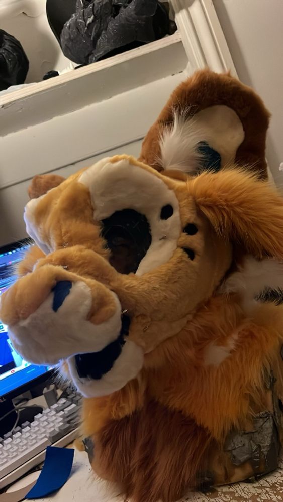 A fursuit head in progress. Golden yellow and cream fur, vaguely feline shaped 