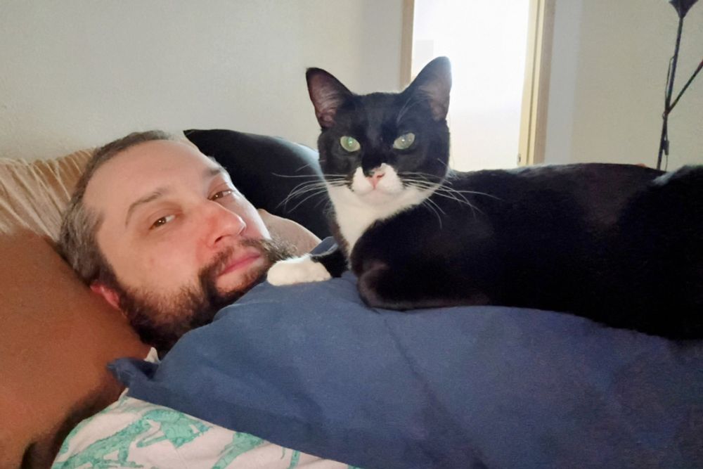A tuxedo cat lying on a pillow that's on my chest