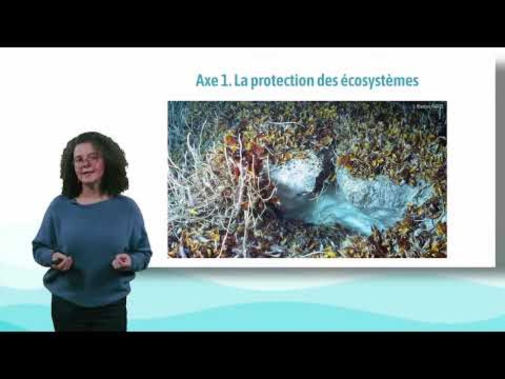 Extrait des espaces marins au-delà des juridictions