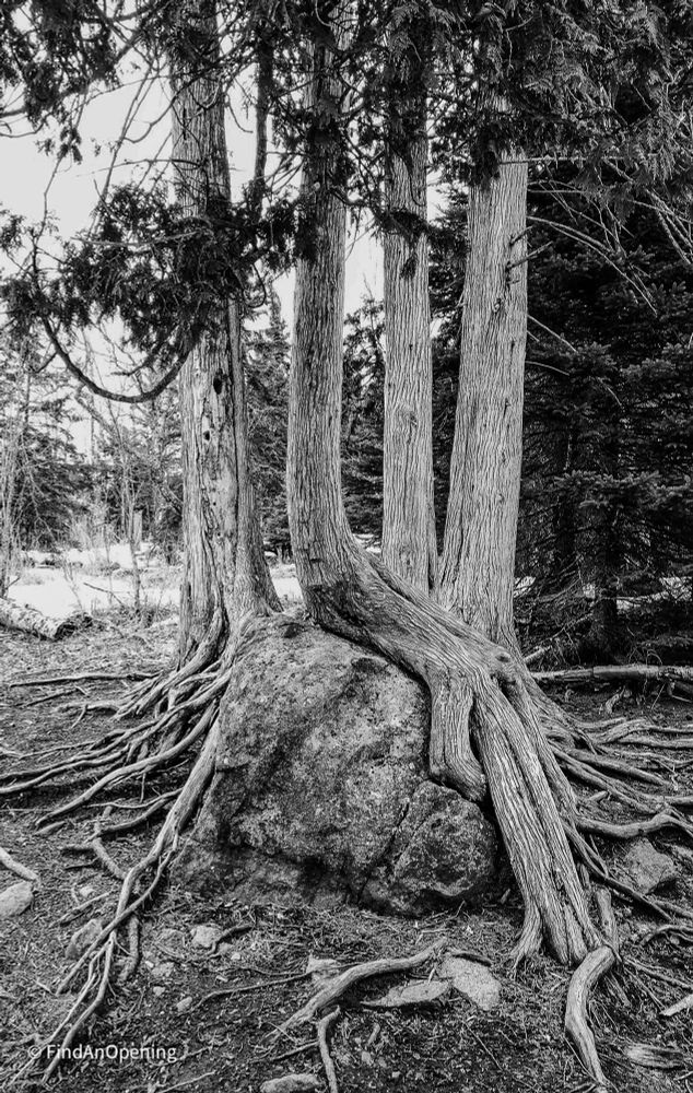 #Minnesota #Tettegouche #NorthShore #Rock #ThickTrunkTuesday #RockinTuesday #BlueSkyArtShow #Nature #Landscape #Photography #PhotographersUnited #BnW #B&W #BlackandWhite #EastCoastKin #PhotographersOfBluesky