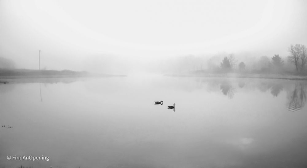 Peaceful Water at Daybreak #Scape #Photography #Nature #EastCoastKin #Landscape #Minnesota #Fog #Lake #bnw #Monochrome #ClassicMono