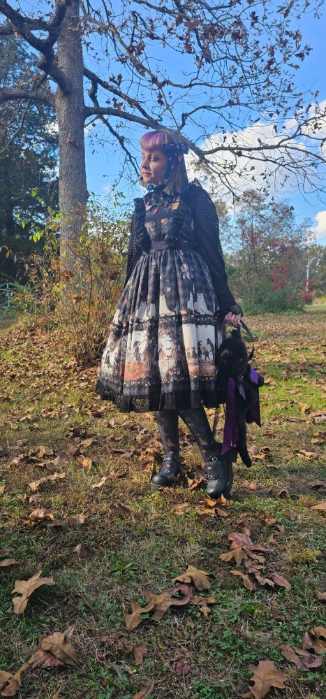 Three pictures of Blix outside. It's fall and their dress has fall scenes. They're also holding a purse that's a plush black cat while a real live black cat makes an appearance in two of these. There's a lot of symmetry. 