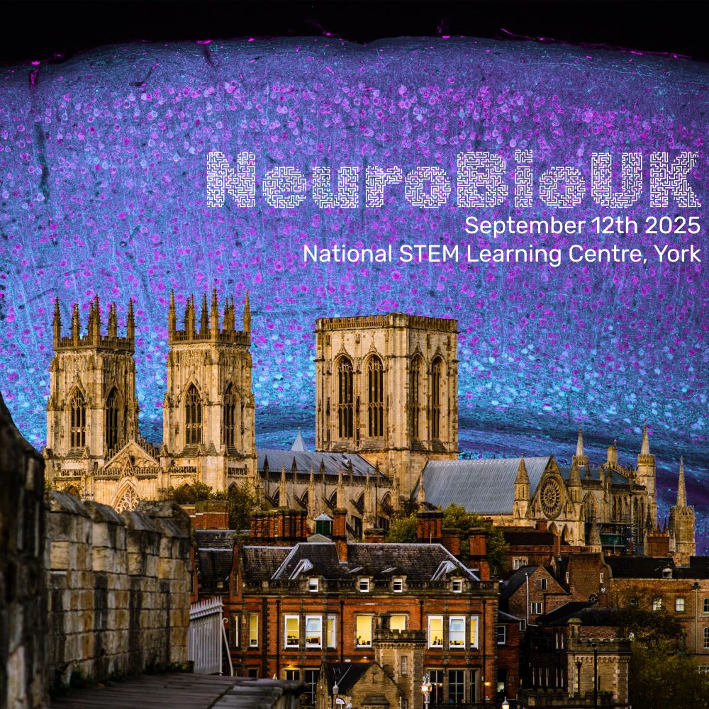 An image montage advertising NeuroBioUK - 12th of September 2025 in York. The image is York cathedral superimposed over a fluorescent cortex mouse section coloured to look a bit like a dawn sky.