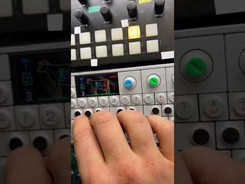 Dark Arps live system 2025 (2/3)