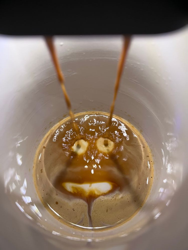 Kaffeegesicht suf weißem becherboden: zwei Augen und ein leicht geöffneter Mund.
Es sieht zerknautscht und weinerlich aus