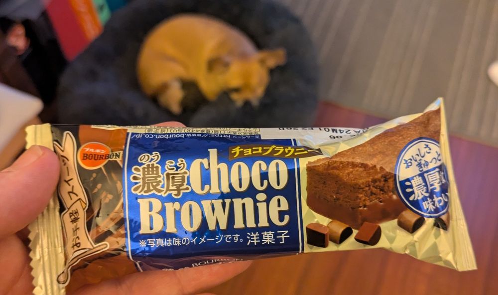 Choco Brownie from Sakuraya in Vancouver