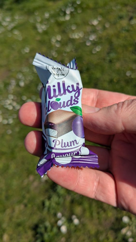 Plum and marshmallowy treat from Alenka European Foods in Vancouver