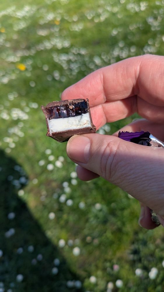 Plum and marshmallowy treat from Alenka European Foods in Vancouver