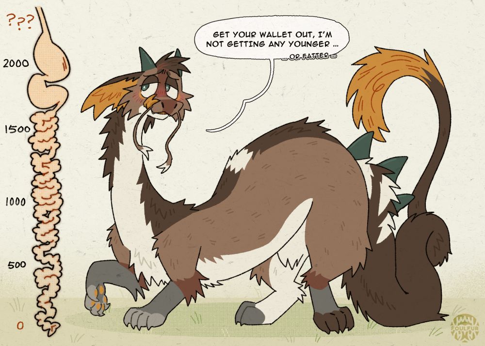 Oushii the dragon, blushing. Text reads: Get your wallet out, i am not getting and younger ... or fatter ... Art by Foulfur, do not repost.