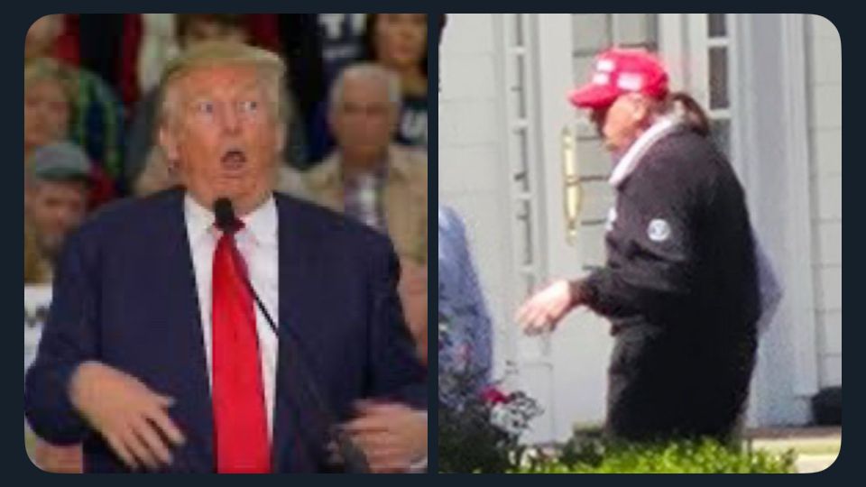 On the left, is it still image of Donald Trump making fun of a handicap reporter. On the right is Donald Trump looking just like that