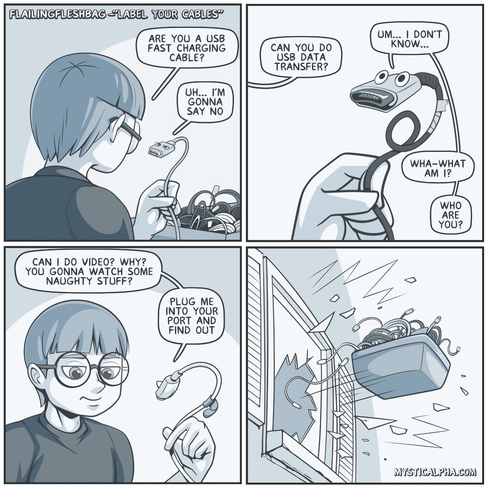 4 panel comic: 1st panel: protag holds anthropomorphic usb cable and ask 'are you a usb fast charging cable?' cable says 'uh... I'm gonna say no' panel 2: protag holds another cable and asks 'can you do usb data transfer?' cable says ' um... I don't know... wha-what am I? Who are you?' panel 3: protag holds another cable, cable says 'can I do video? Why? You gonna watch some naughty stuff? Plug me into your port and find out' protag has annoyed look on face. panel 4: Container of cables flies out of protag's window