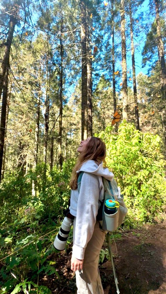 Rachael standing amongst millions of monarch butterflies!