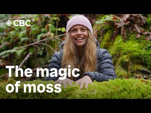 Exploring the superpowers of moss | Planting Curiosity | CBC Creator Network