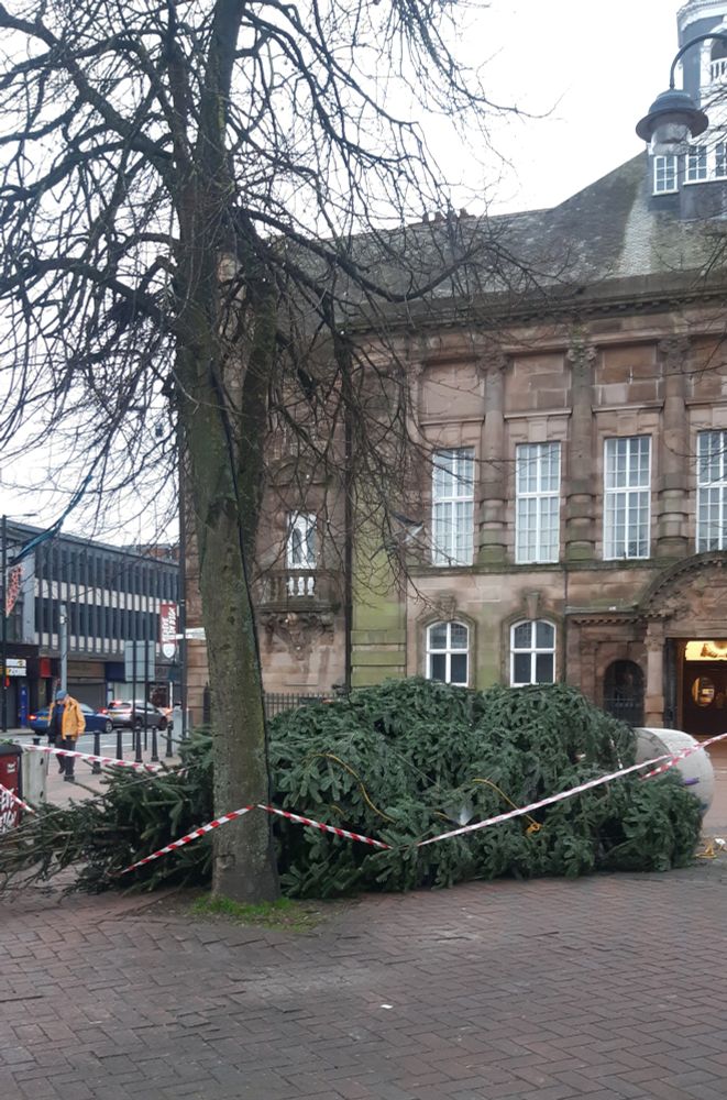Christmas tree blown over by wind in front of a town hall