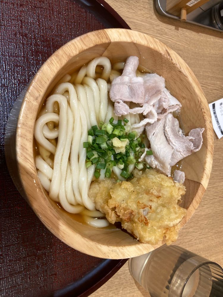 Pork and chicken tempura udon