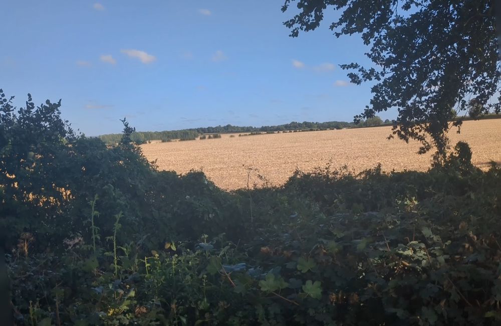 View across recently harvested wheat field in north west Hampshire. Distant wood line the horizon.