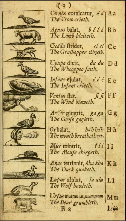 Color photo: Old illustrated page showing animals and the sounds they make (the duck quacketh, the bear grumbleth, etc).

Left: drawings of animals like cat, dog, and owl. Center: Latin phrases with English translations. Right: letters A-M.

📸: John Comenius
