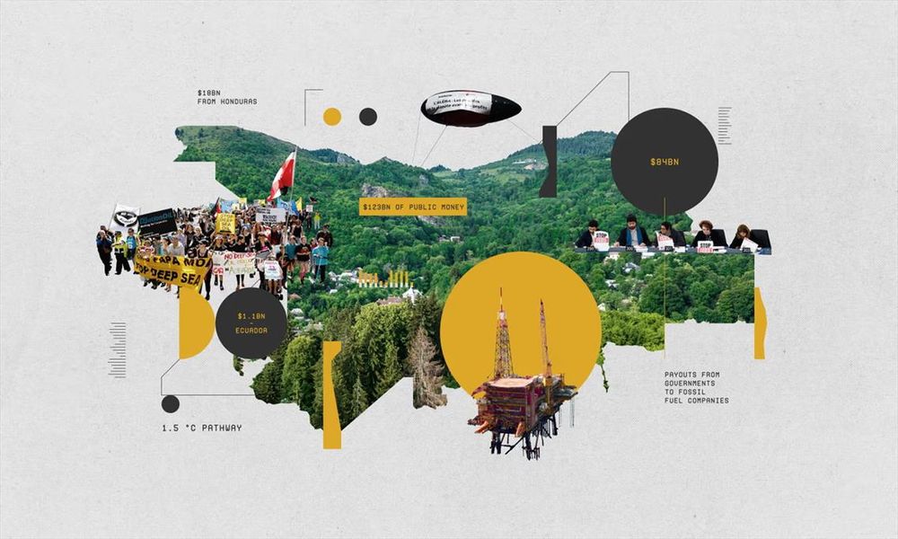 Infographic from the Guardian showing a collage of foliage and oil derricks and protestors and some facts. Is that a zeppelin?

📸: Israel Vargas/The Guardian