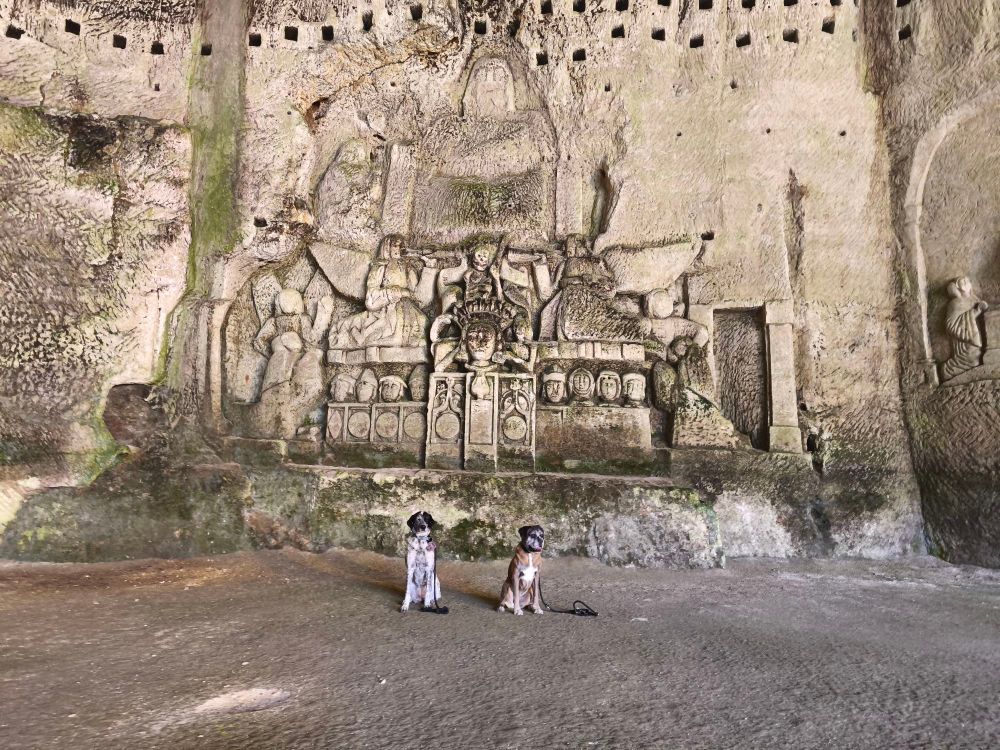 Mamie boxer et braquouille dans la grotte du jugement dernier a Brantome 