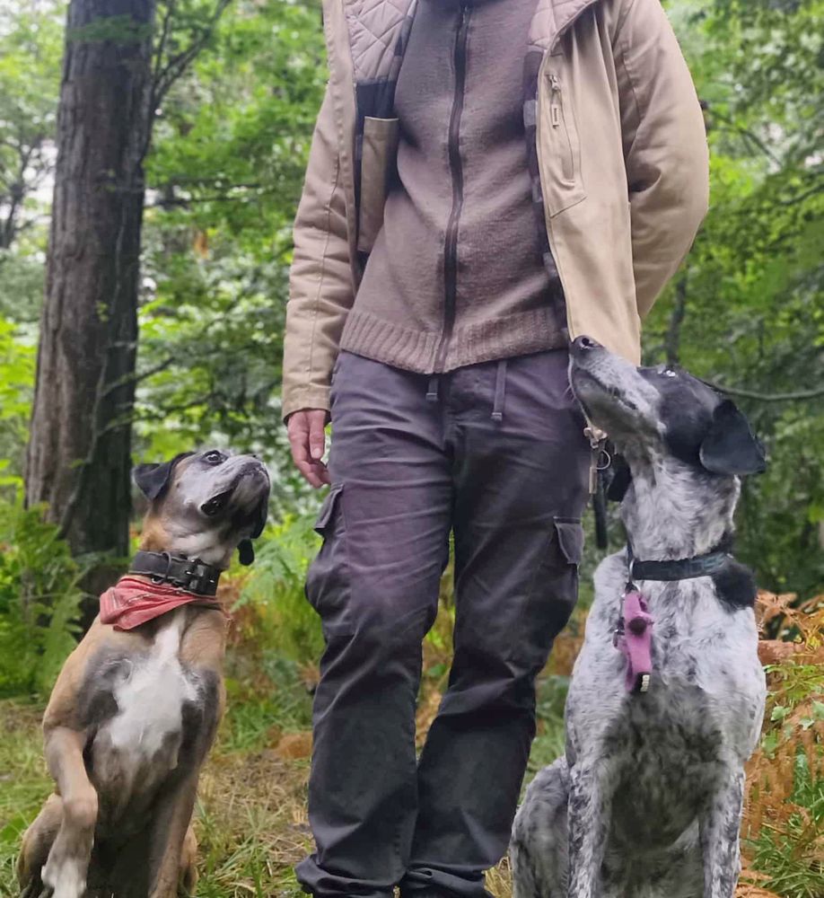 Mamie boxer et braquouille assises de chaque côté de moi me regardant, (moi je suis en tricot marron veste beige et pantalon cargo gris, deso Nicolas Cage aux folles pour ce manque de style mais c'est la tenue de balade)