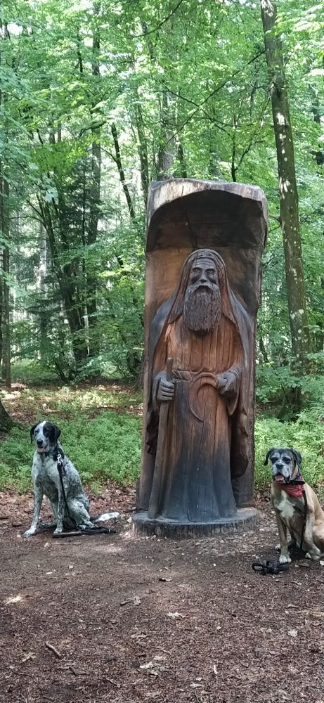 Une boxer assises a gauche d'une sculpture en bois  de druide et a la droite de celui-ci un braquouille. Et cette scène est en forêt