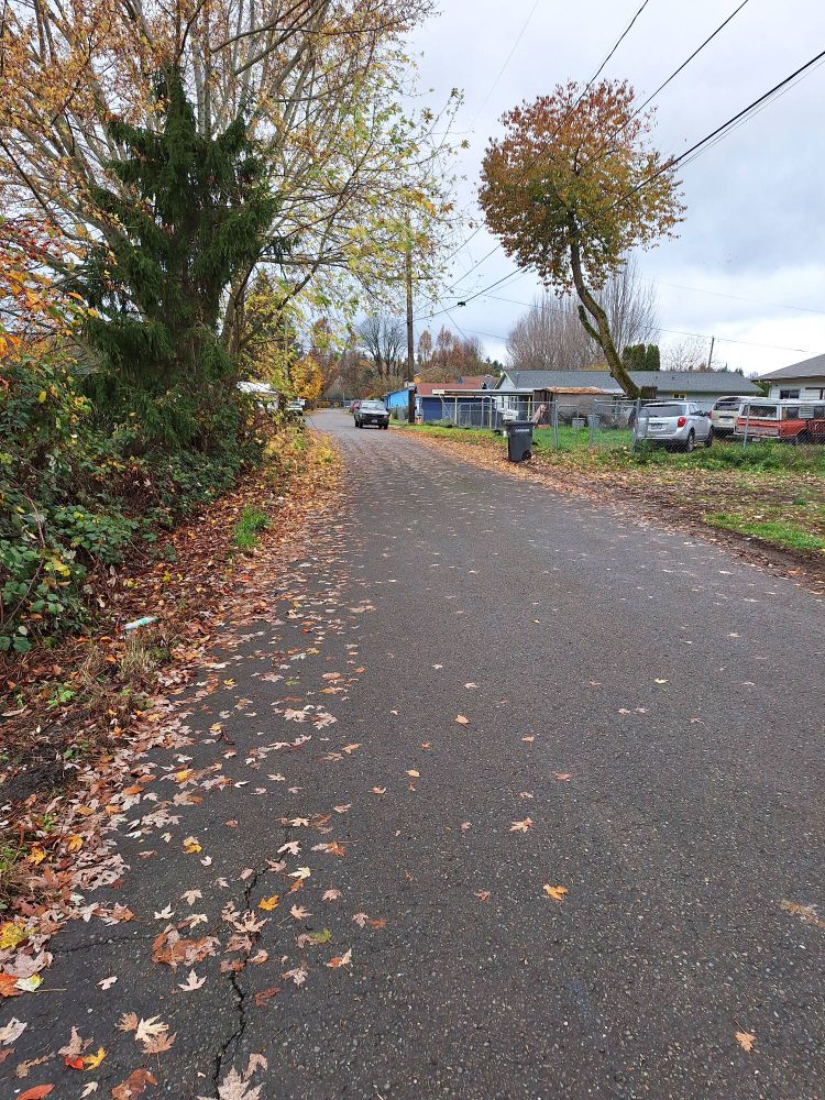 Small road, perfect truck