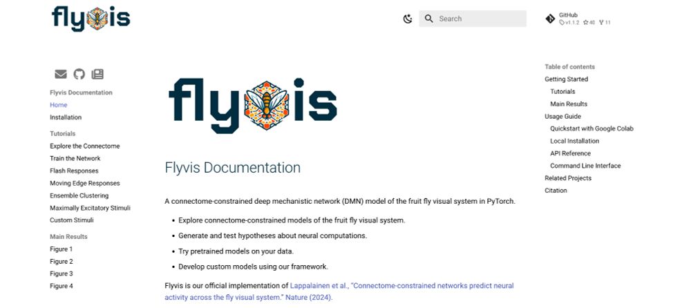 Screenshot of the docs at turagalab.github.io/flyvis