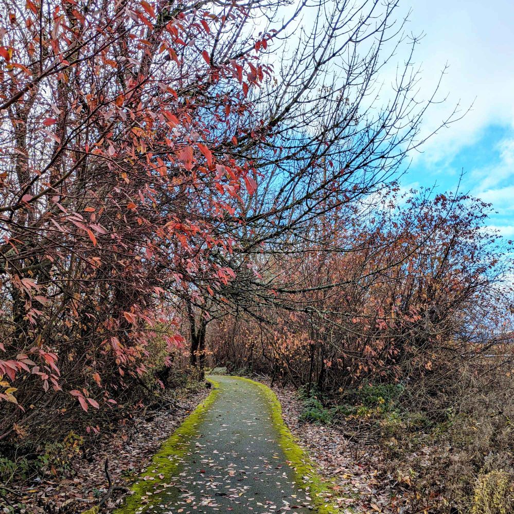 Photo of Smith and Bybee in fall.