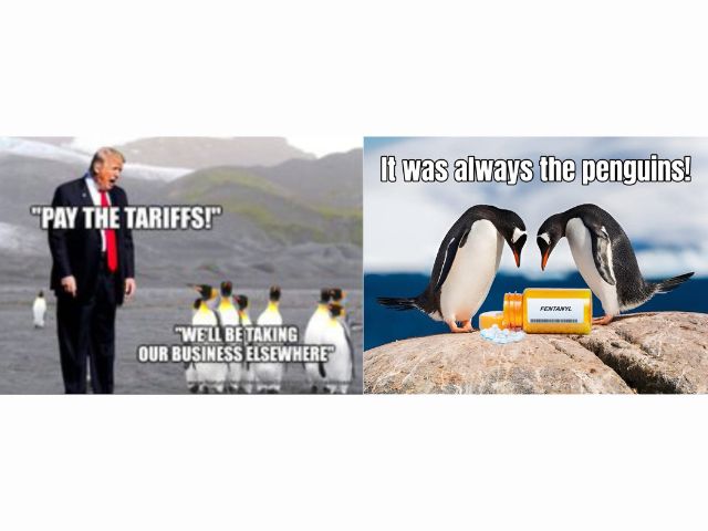 From another cartoon:  "Help the penguins pay their tariffs.   Send fish to 1600 Pennsylvania Avenue."