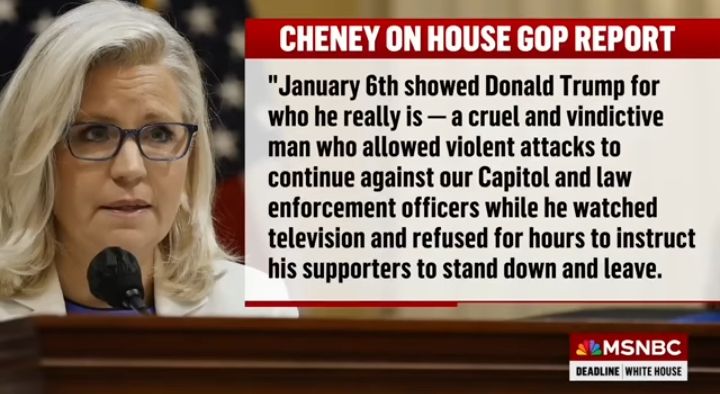 Cheney quote: January 6th showed Donald Trump for who he really is - a cruel and vindictive man who allowed violent attacks to continue against our Capitol and law enforcement officers while he watched television and refused for hours to instruct his supporters to stand down and leave. image: photo of Liz Chaney at microphone.