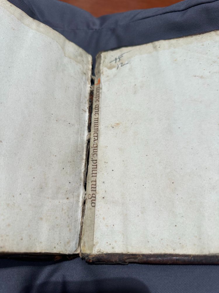 A strip of parchment visible in the back of a book binding with a line of text in Latin
