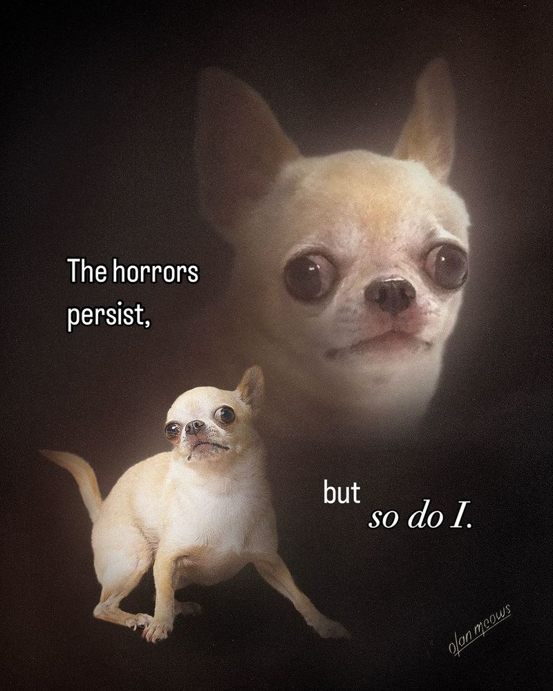 A chihuahua dog with bulging eyes with the caption "The horrors persist... But so do I".