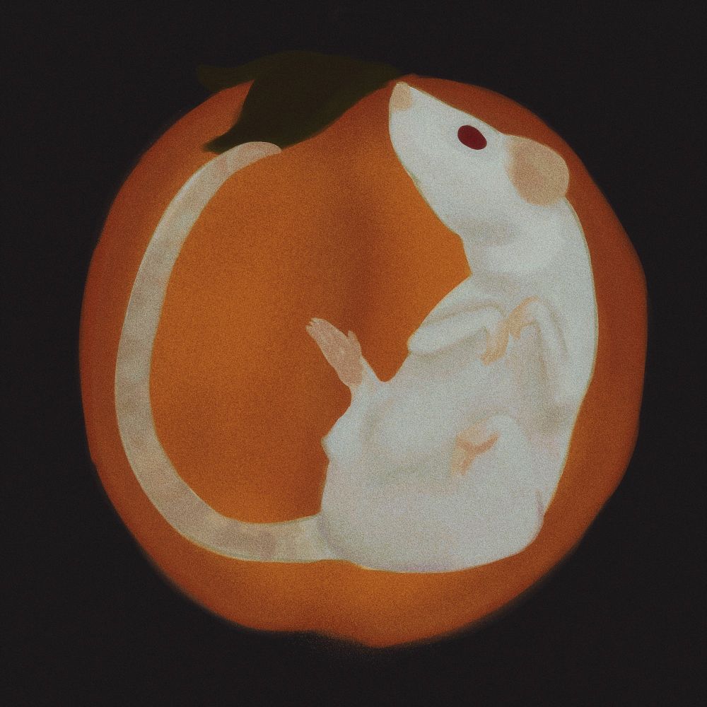 drawing of a small albino rat curled up in front of a peach