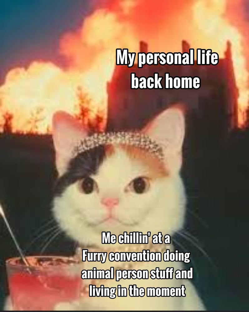 Cat wearing a tiara and drinking a mixed drink while a building burns behind them.