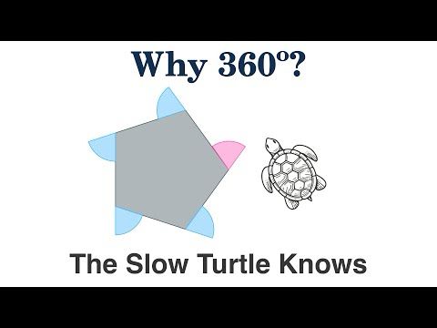 How a Slow Turtle Helps Explain a Mind-Bending Mathematical Result