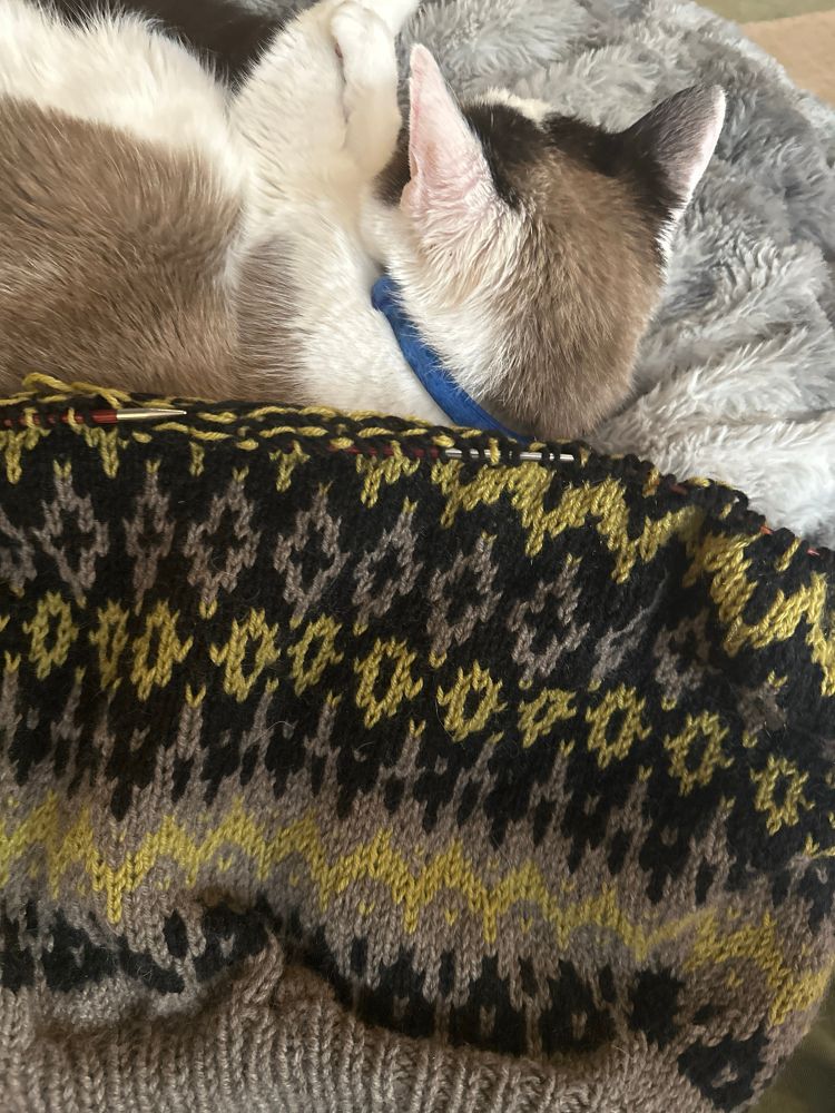 A new cast-on I can’t put down. #Ilya by Boyland Knits in #myakfibers 