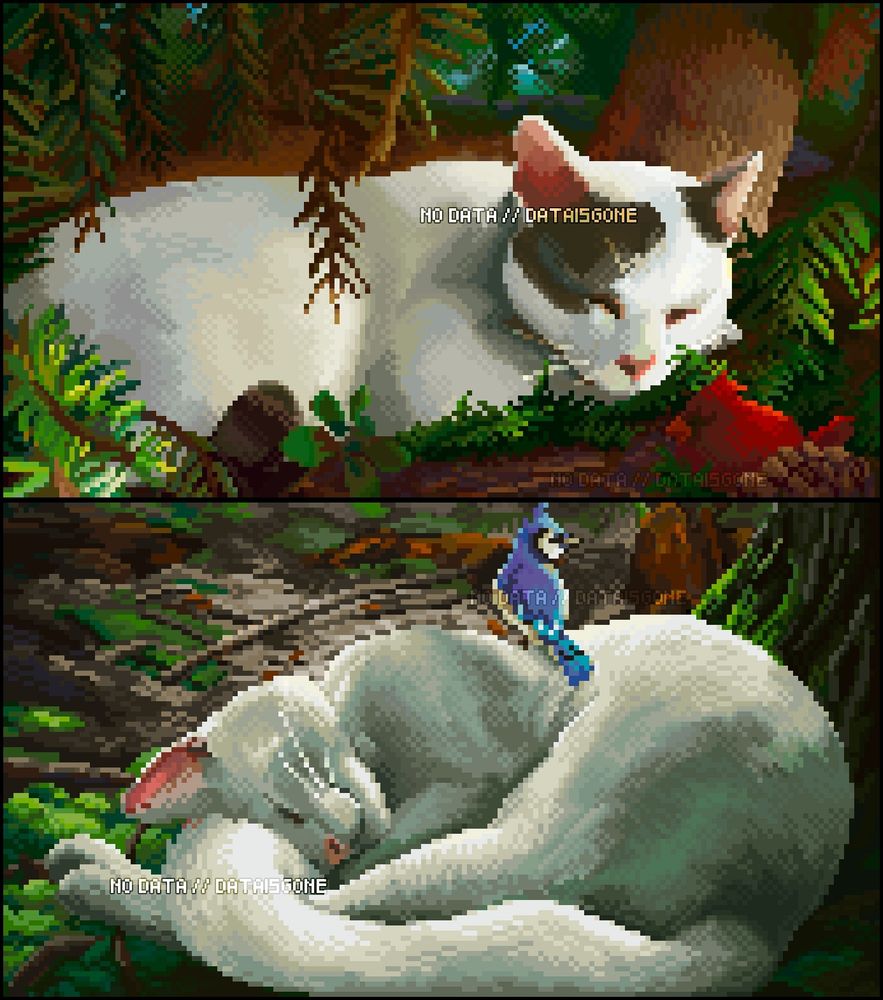 Two pictures of cats, both of them sleeping in forests. One has a brown tail, one brown ear, and a brown patch around her eye. She has a cardinal bird resting next to her. The other is pure white with a bluejay bird perched on his back.